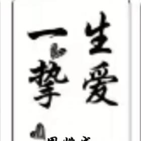 专业做金刚砂地坪