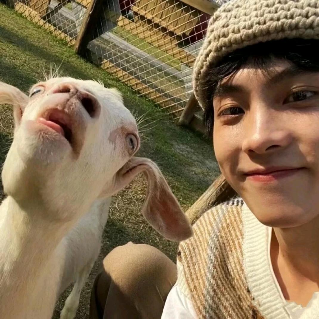 真的这样 🚶🏻‍♂️