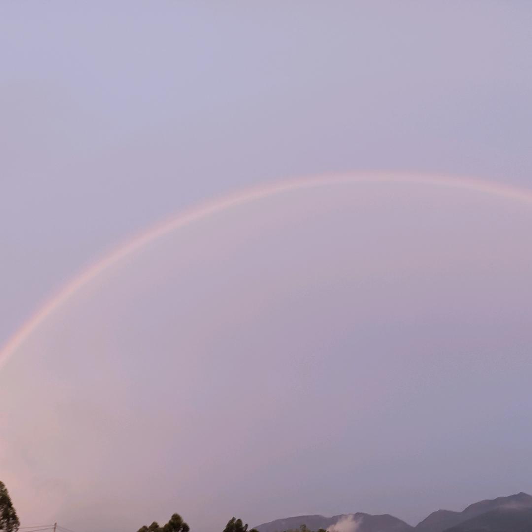 用户27794643363筒简单单做人