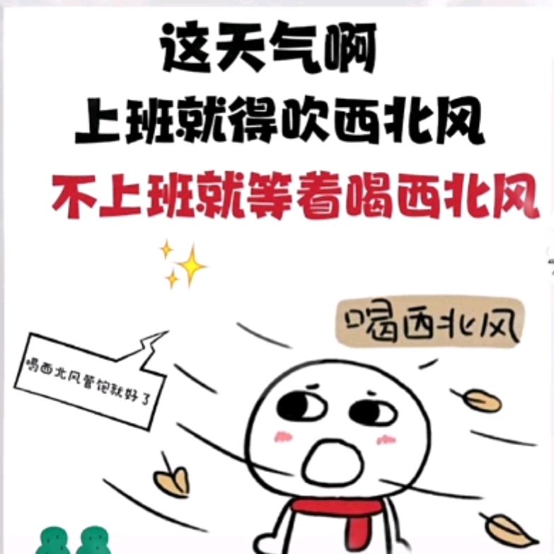 西林喝西北风