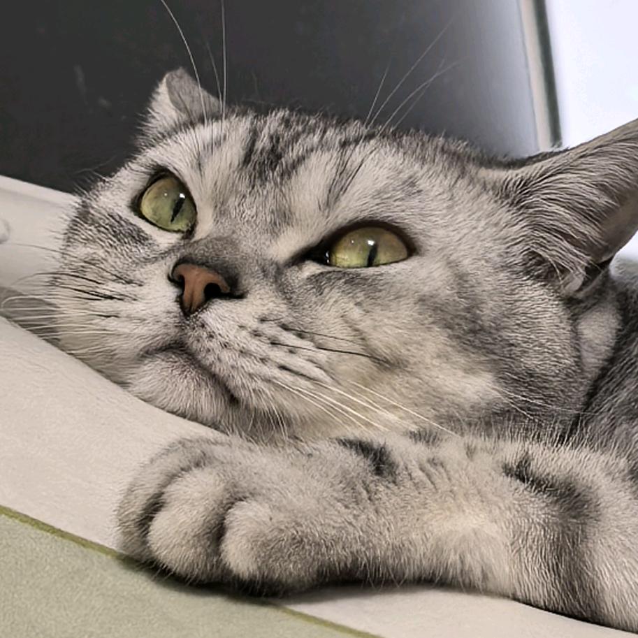 🌈刘十七😼🌈