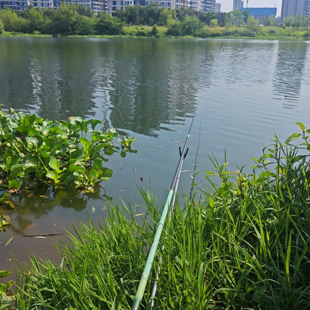 钓杂鱼的小男孩🎣