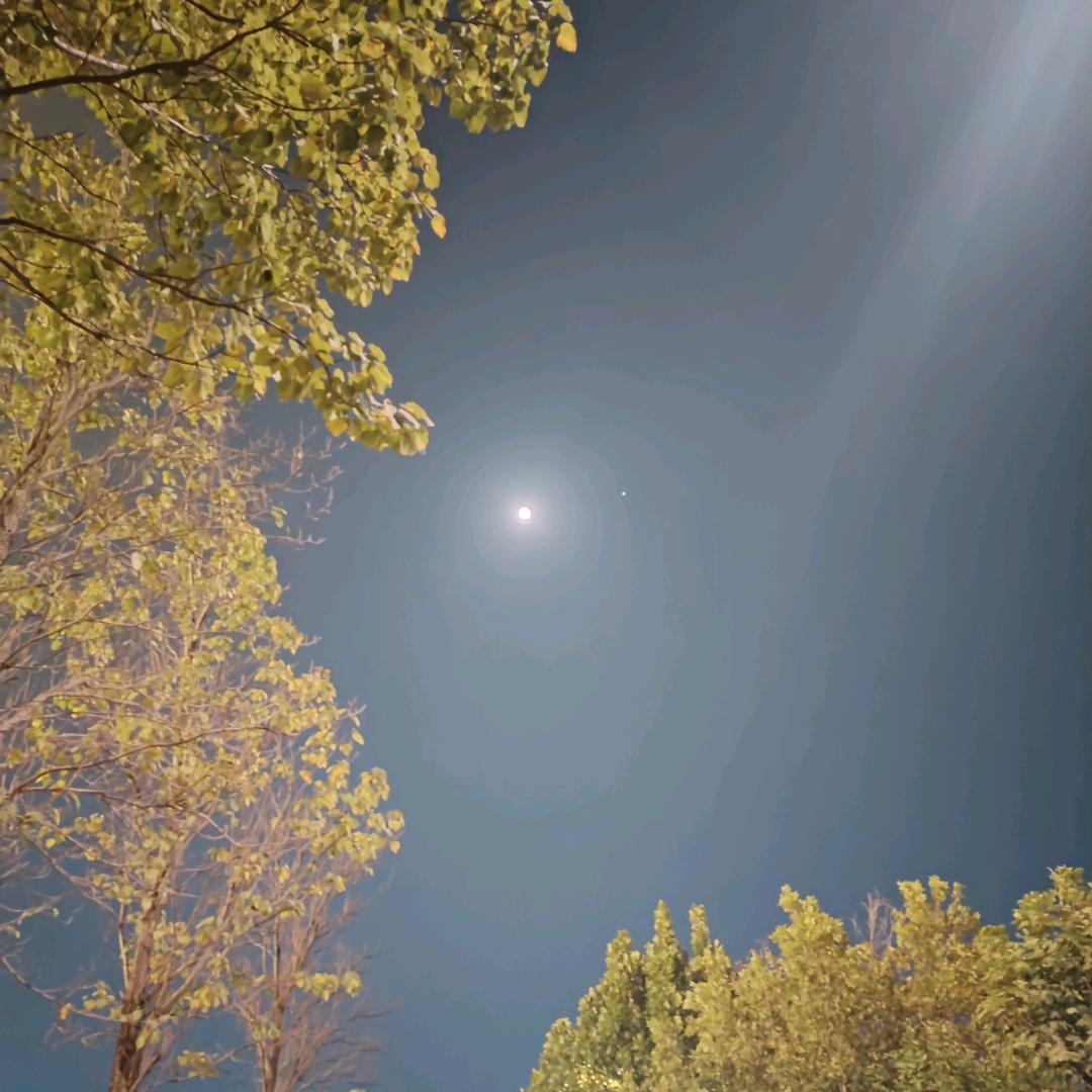 温暖的星光