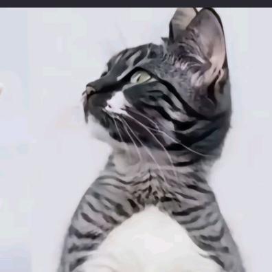 只因你太大