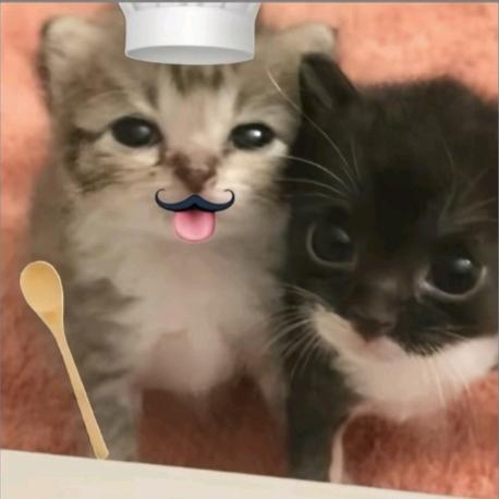 慕