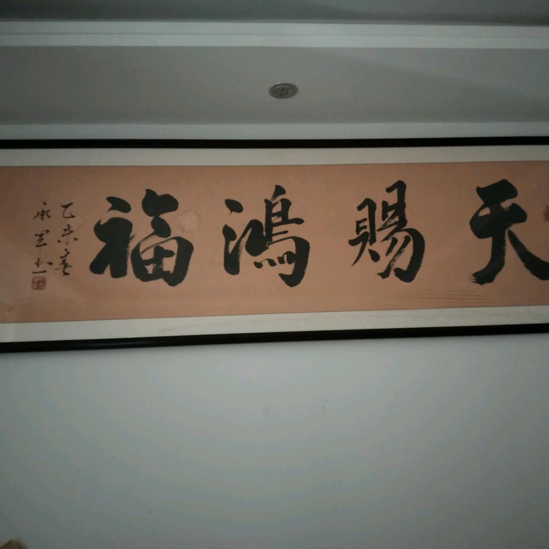 ZD
