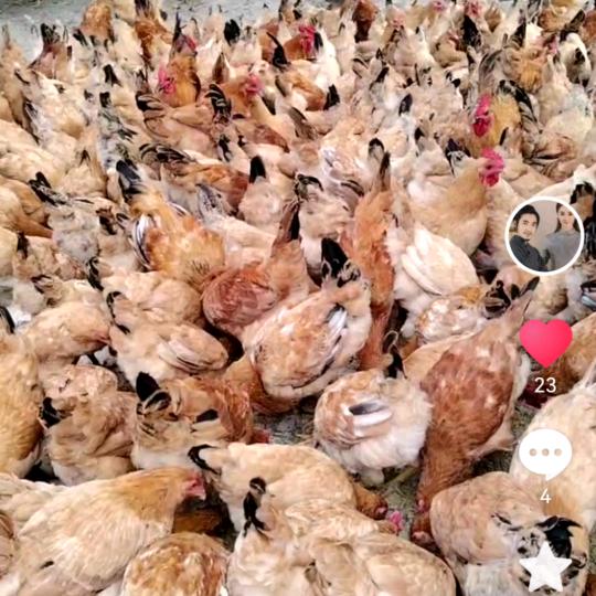 南陵县亿农山农场