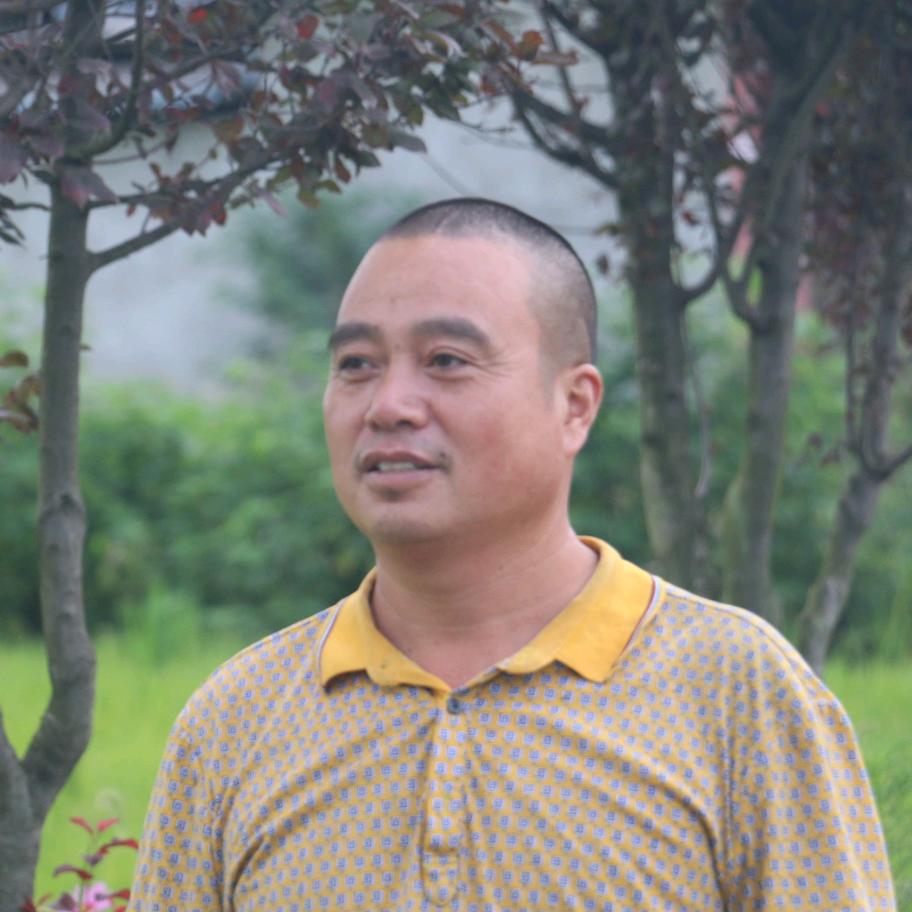 红牌坊园林（专业砍树）
