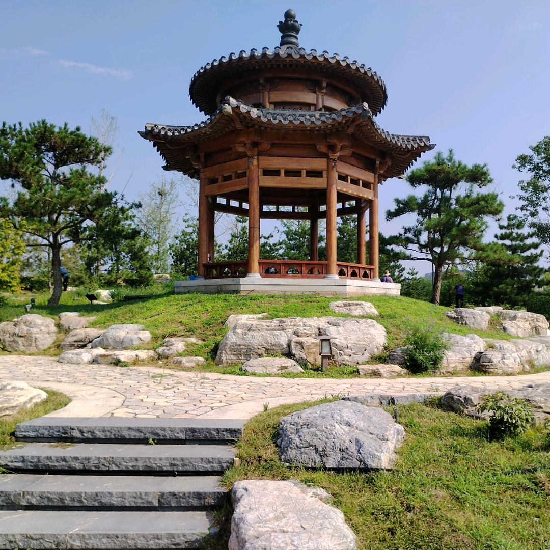 _阿诺