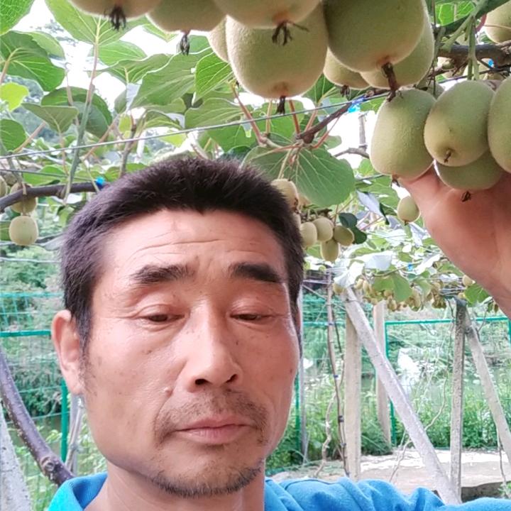 蜂蜜哥哥