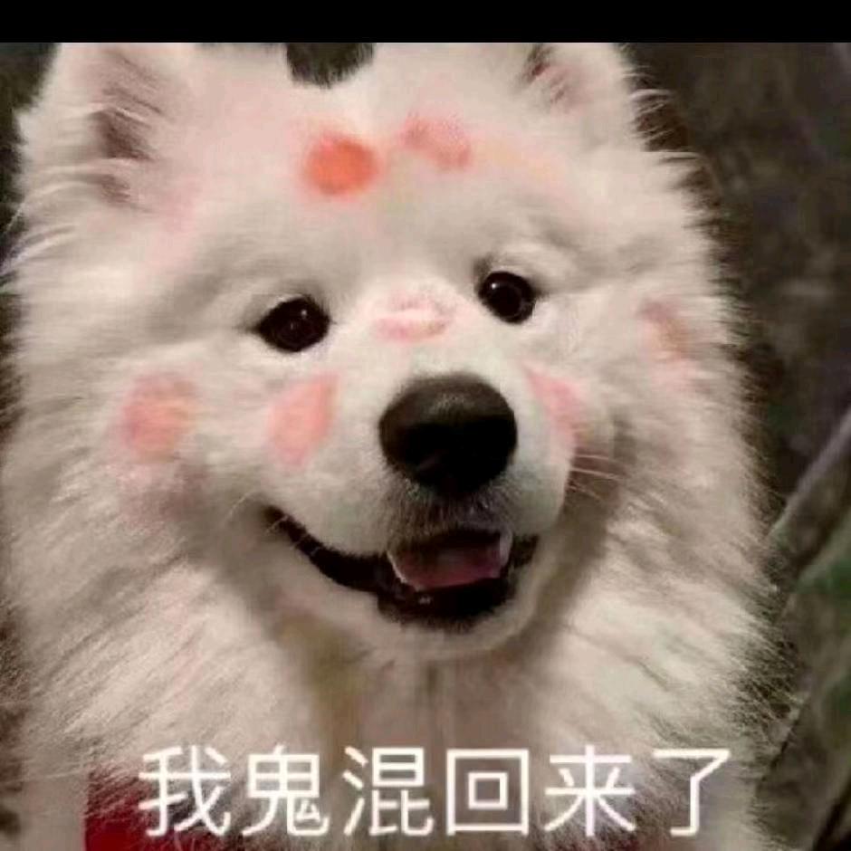 万俟问（mo，qi，问）