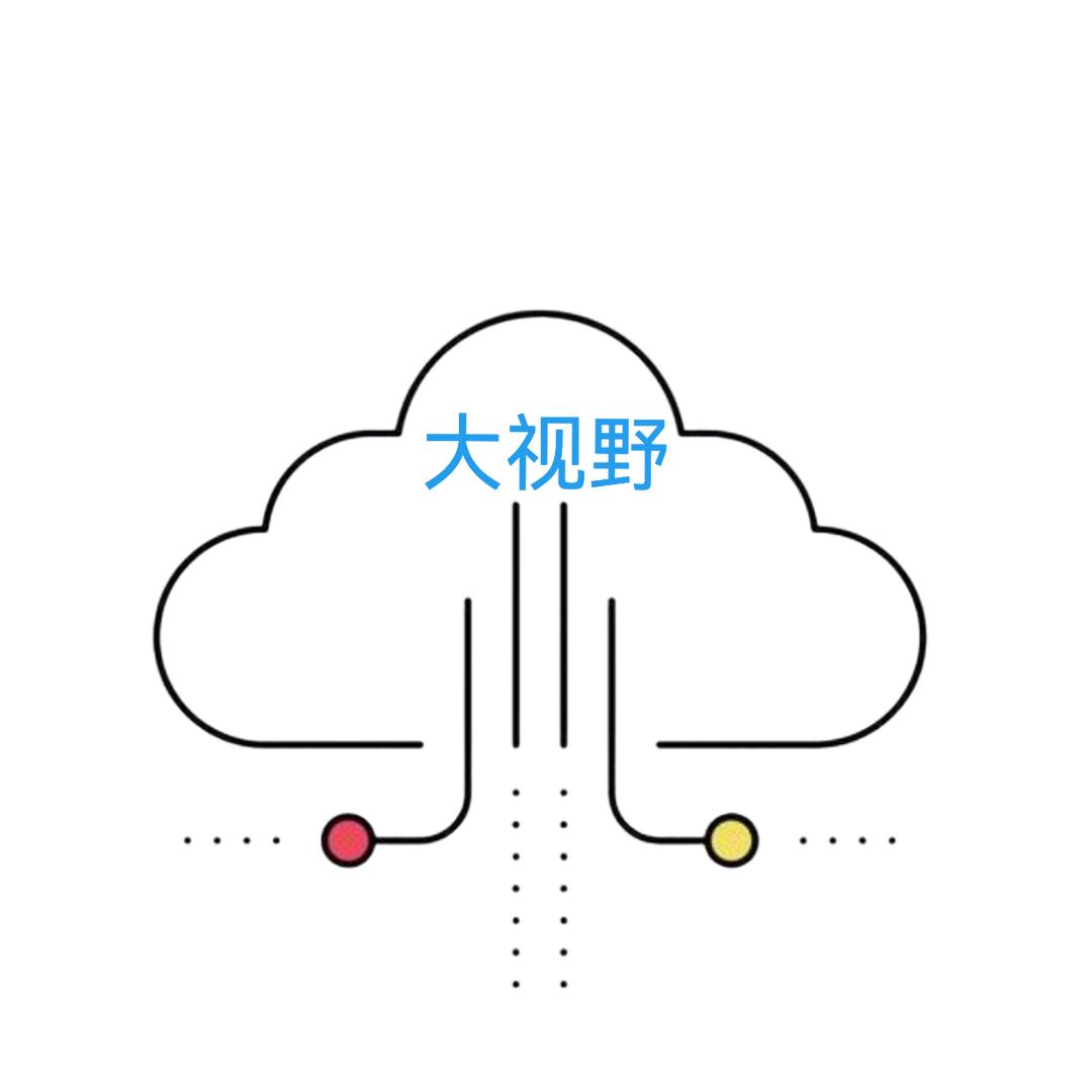 大视野