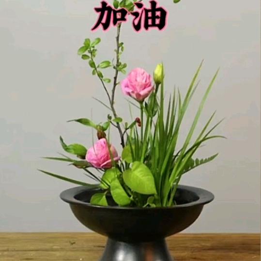 快乐每一天
