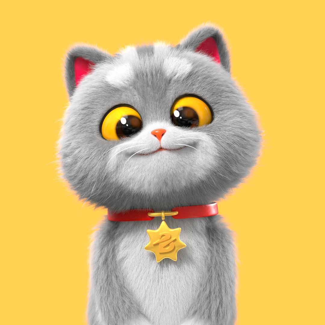 斑布猫