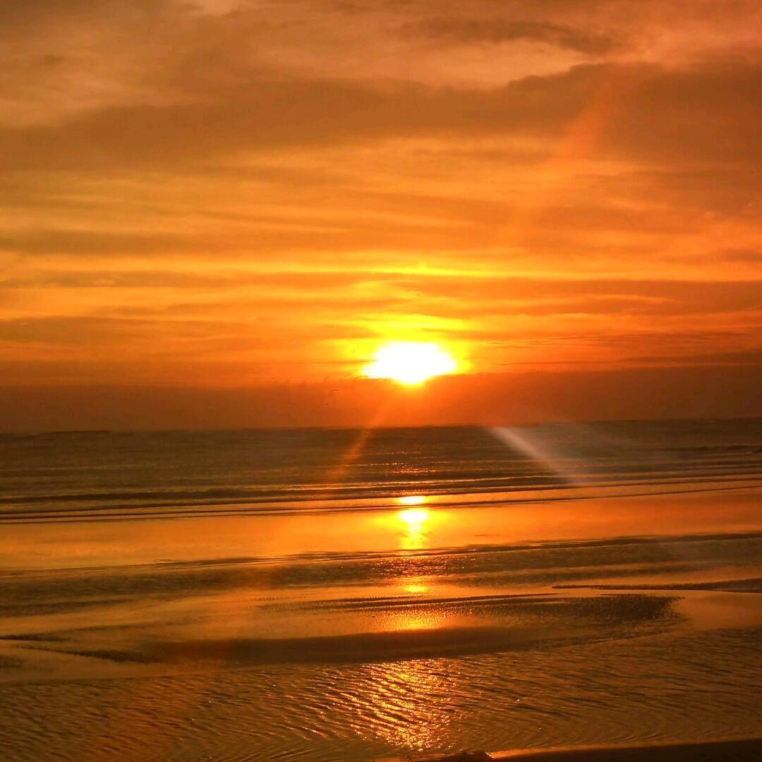 🌈浪里个郎🇨🇳