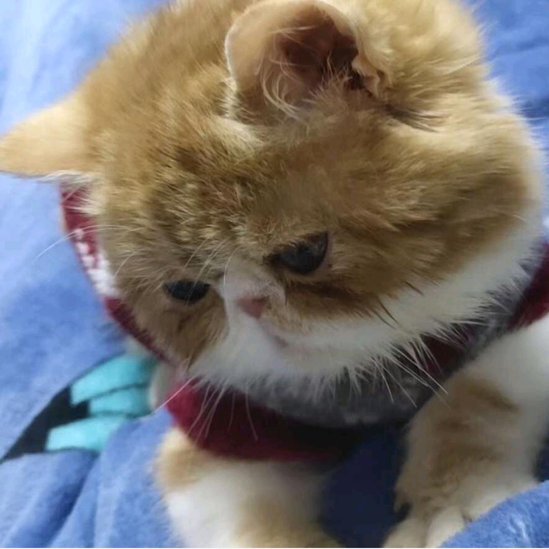 小老鼠🐀