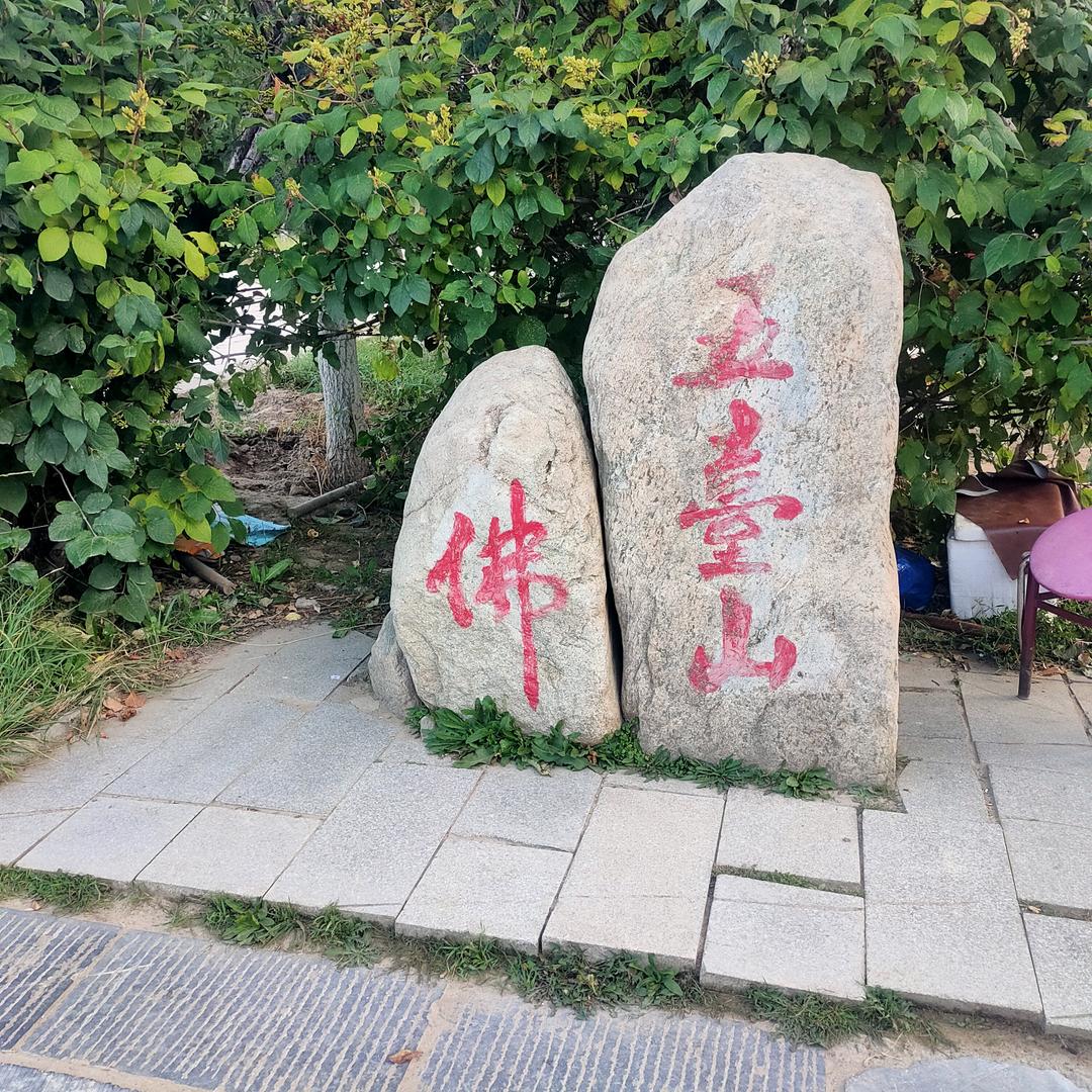 喜欢自由（胜洁餐具）