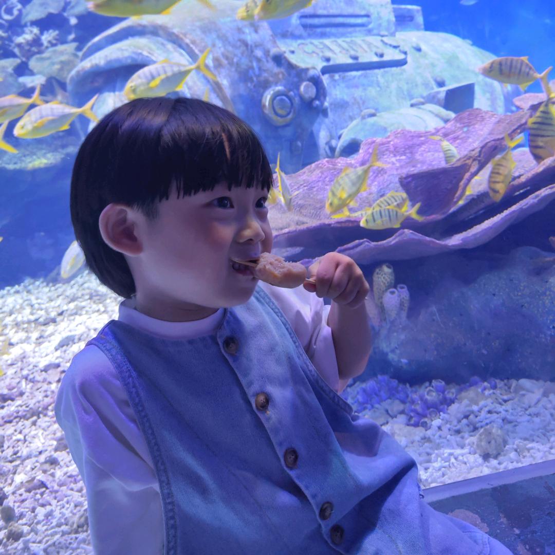 馍馍