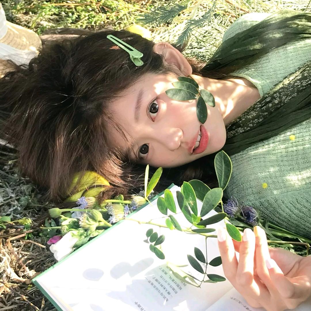 木棉不眠