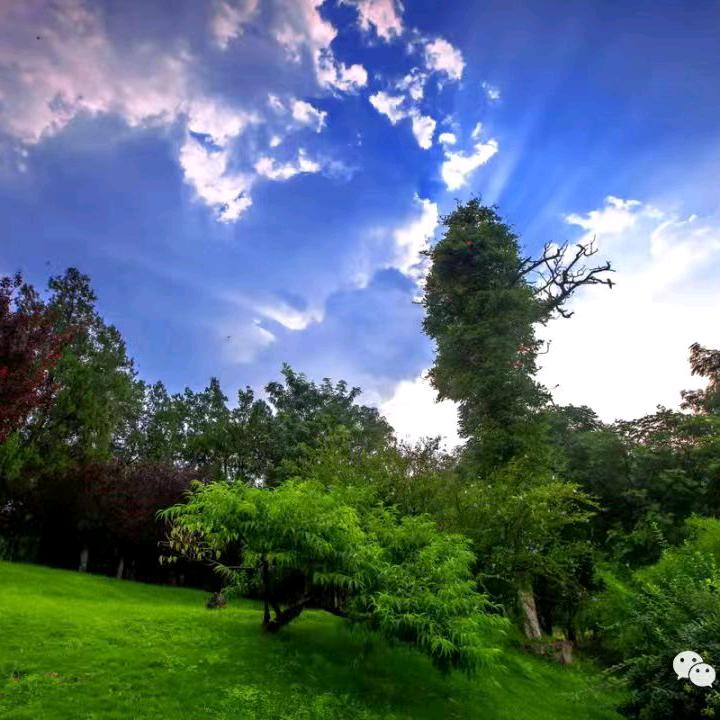 奥扎尔日常百货