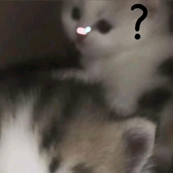 辣堡