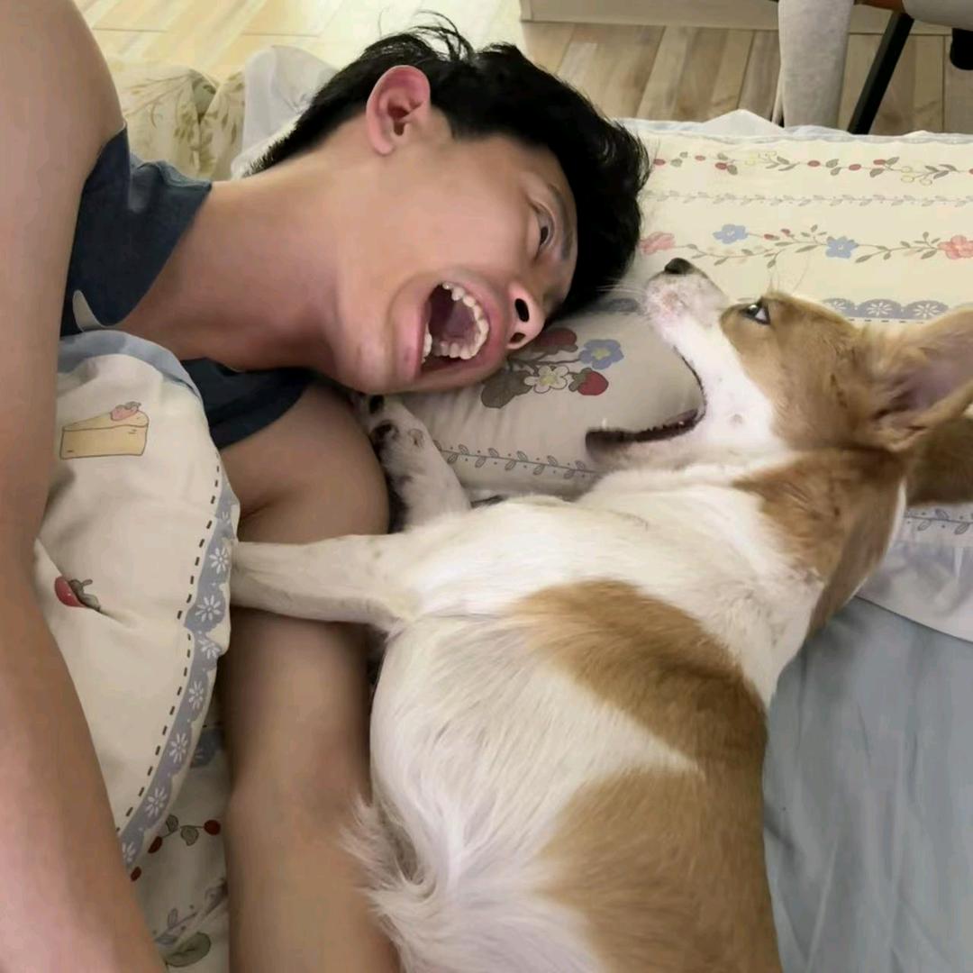 野生老爹