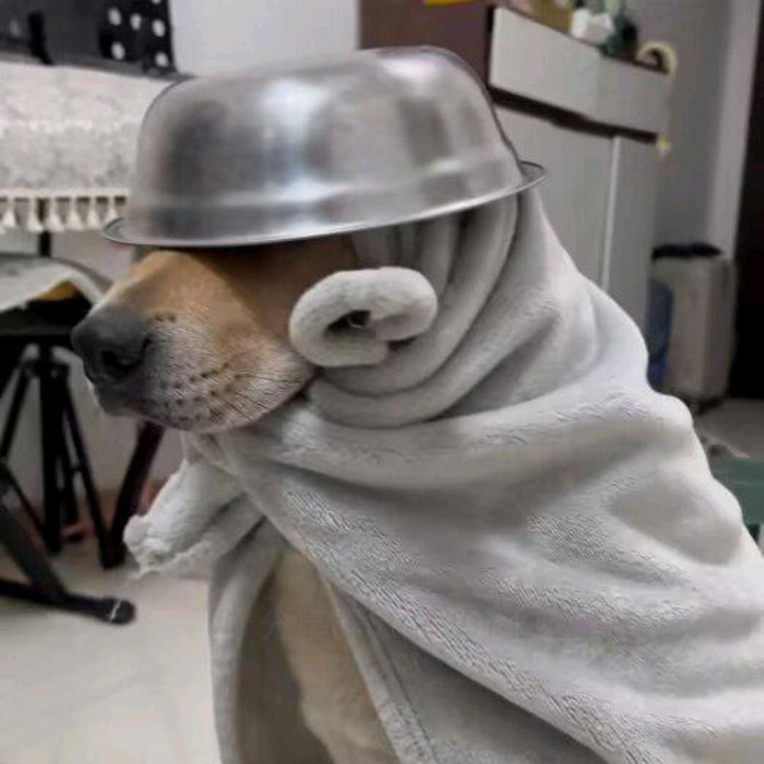 日式少男八嘎君