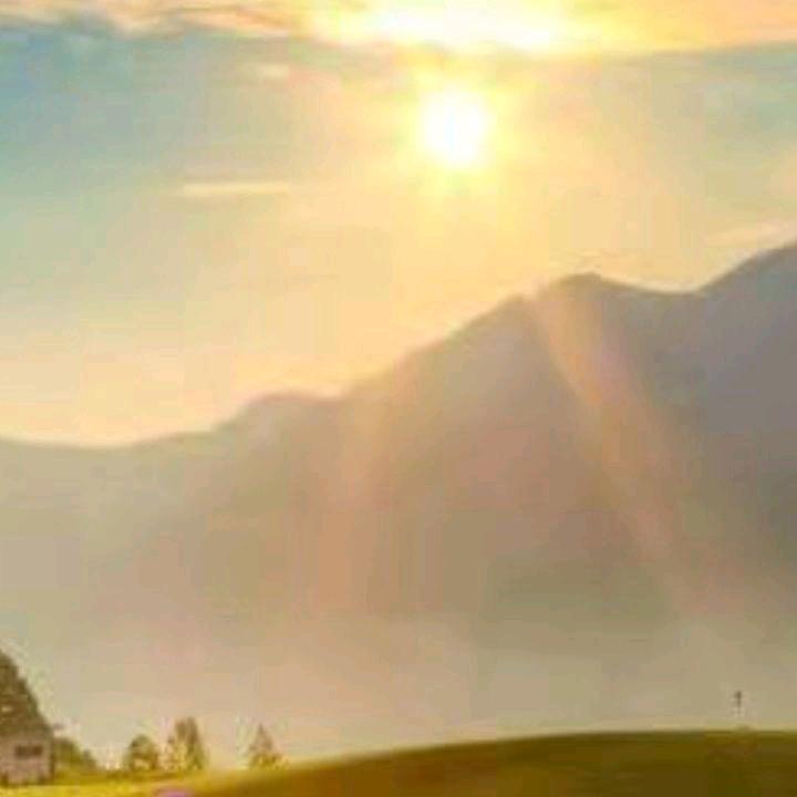 周大生自营-百阳