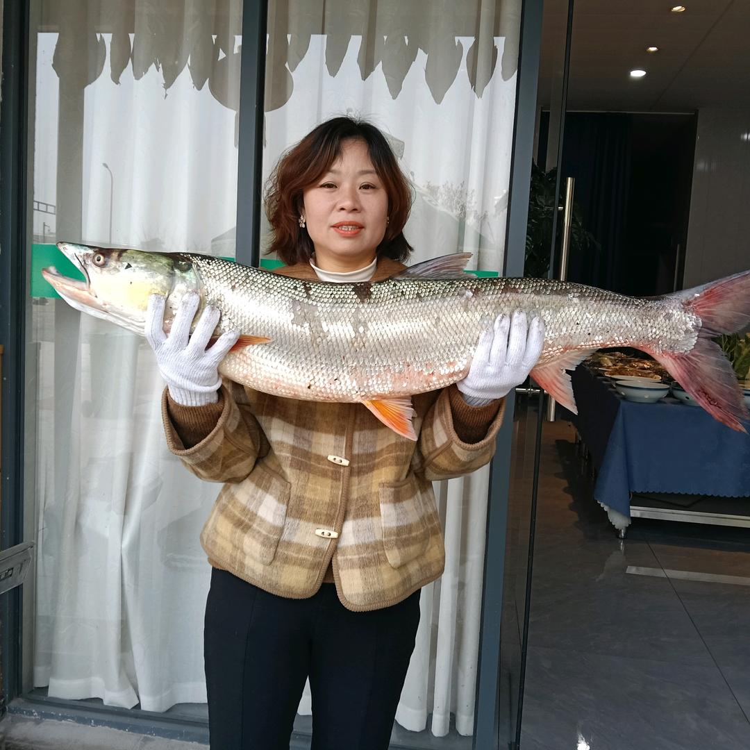 @窄溪阿国渔味馆（陈姐）