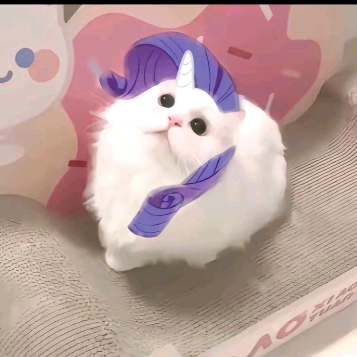 小聆婷🐾
