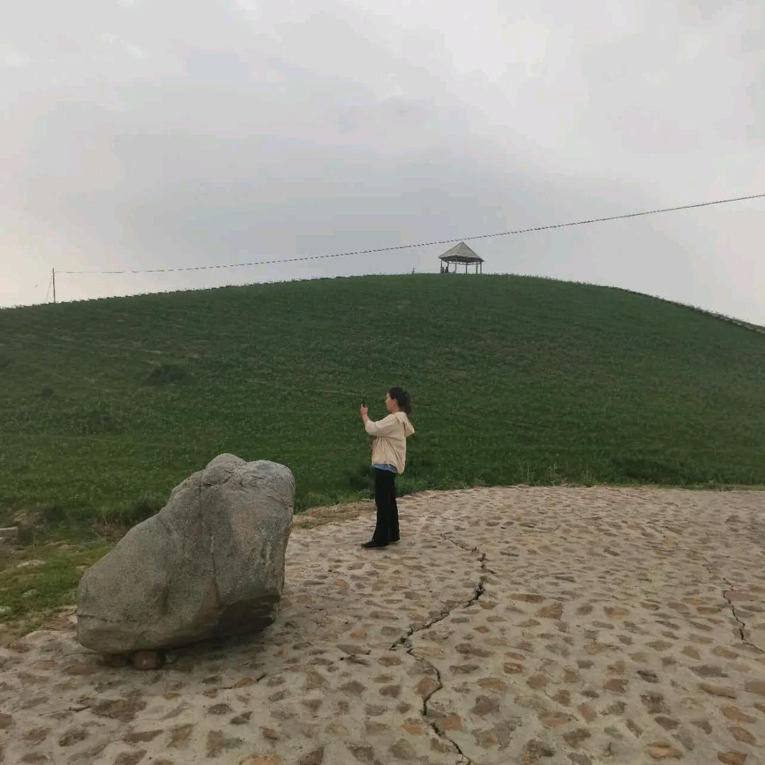 小刘
