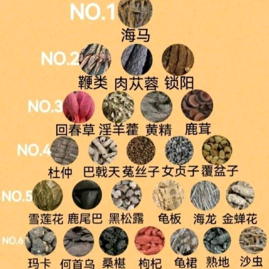 烧烤卷饼与蘸料研究协会会长（不会搜看顶置