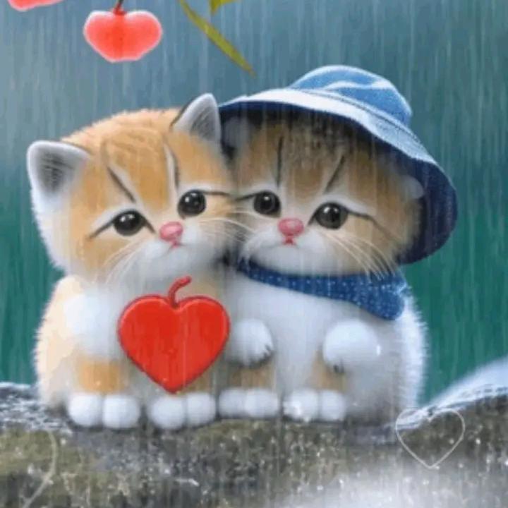 开🐎心过🐀好每一🌸天。🌼