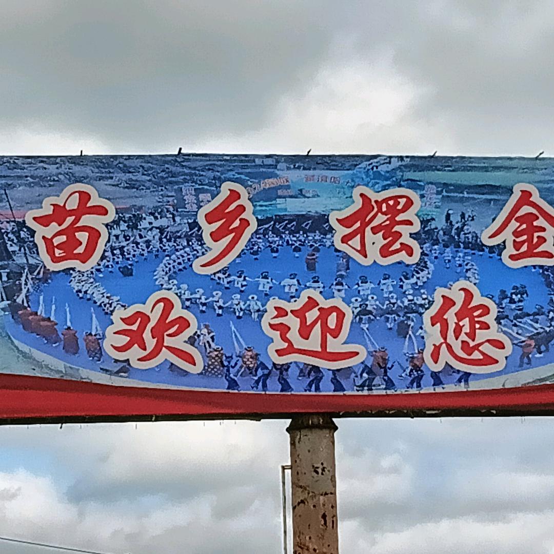游龍戏凤