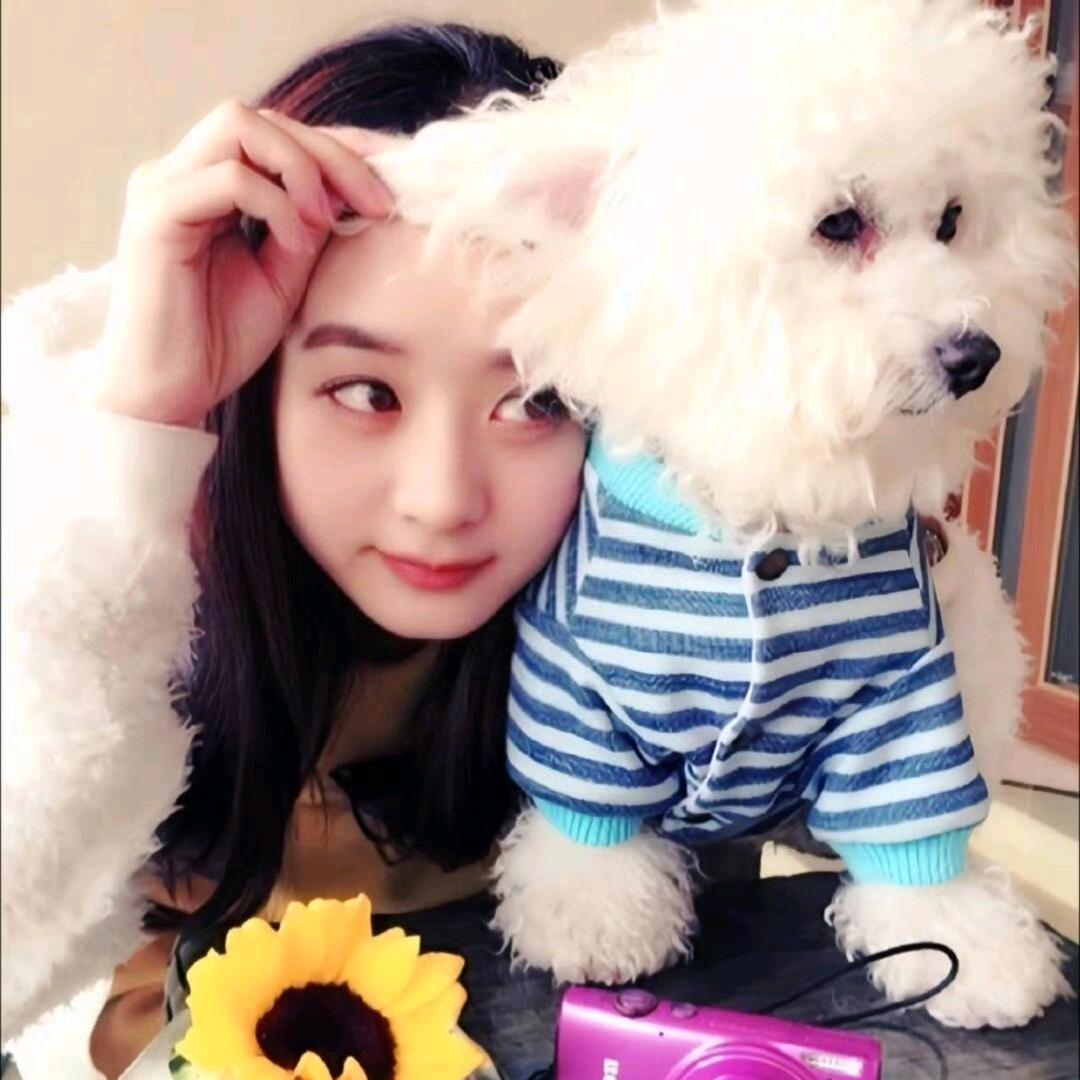 ☆小狗小小的不安是诗▽･ｪ･▽ﾉ”