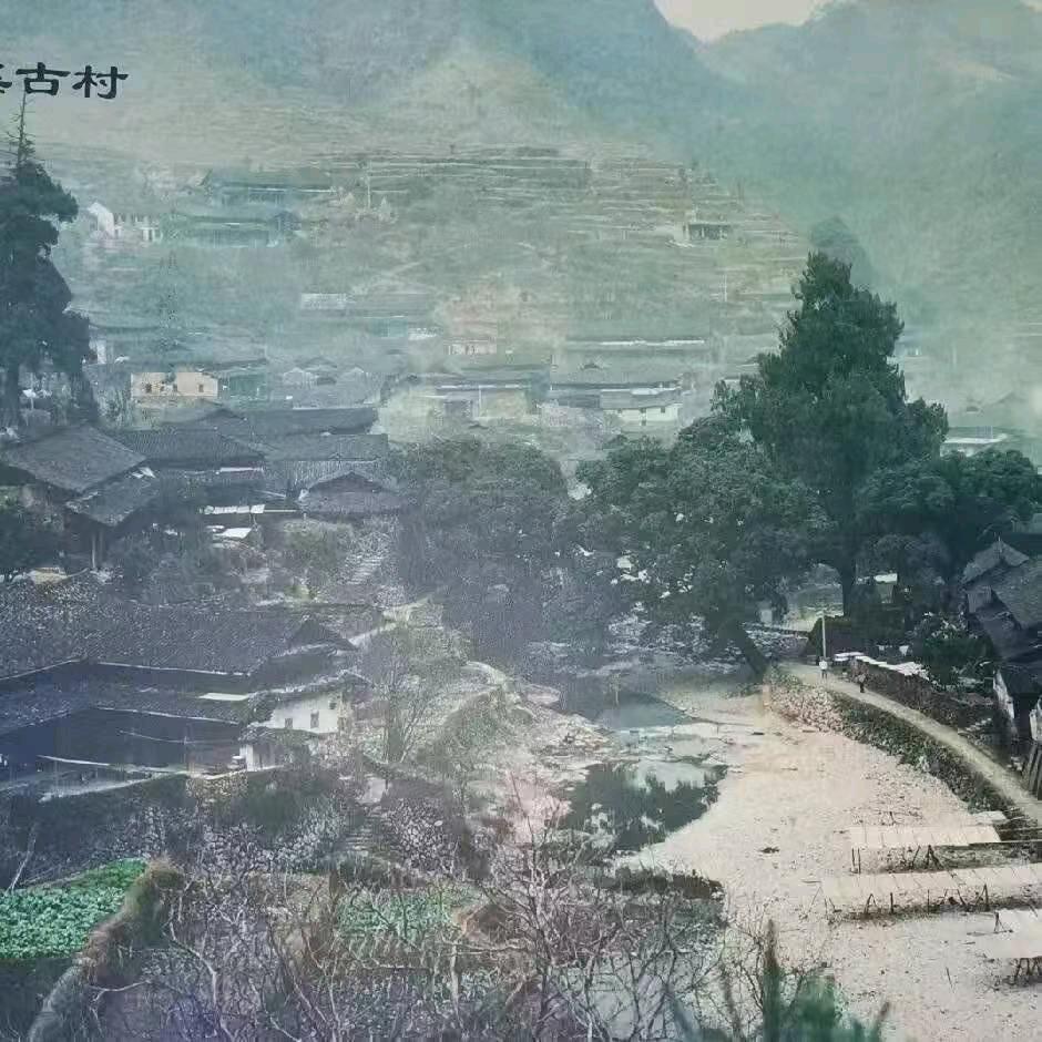 神评小站