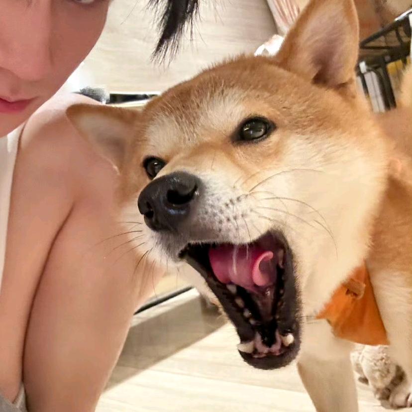给我刘一口😋