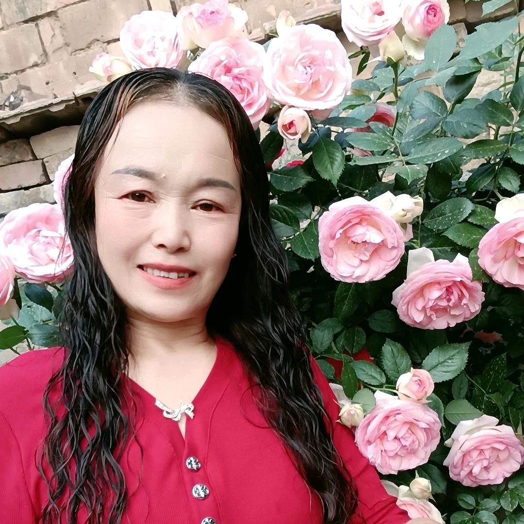 🍀好运☘️绵绵🍀