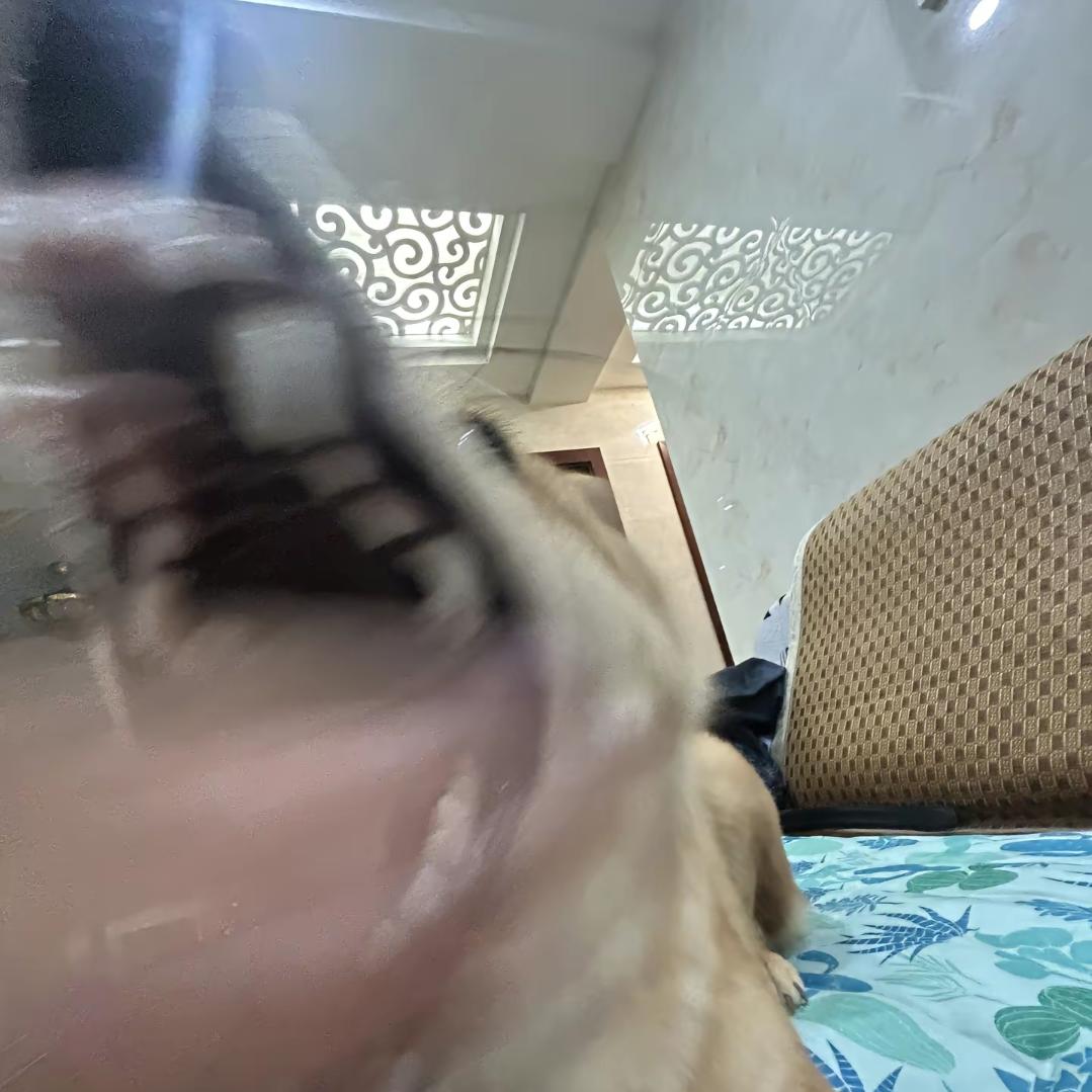 圆○