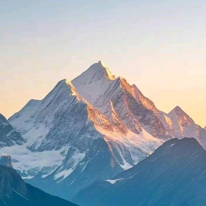 疏林