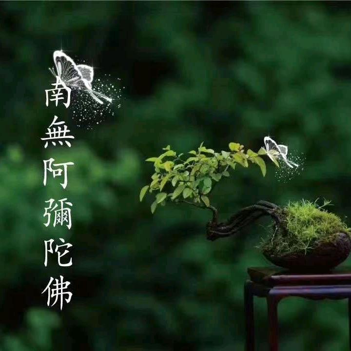 一杯浊酒敬流年