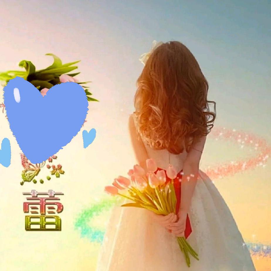 蕾