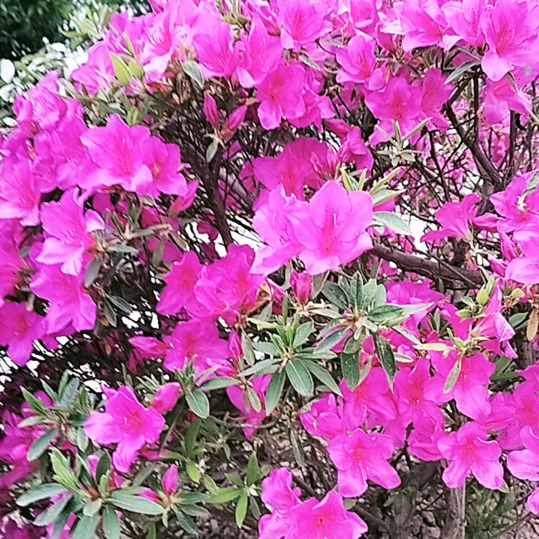 此生不换。。。