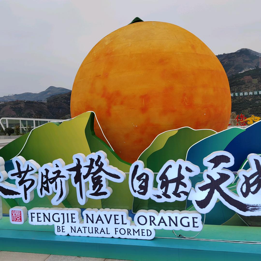 橙子🍊哥