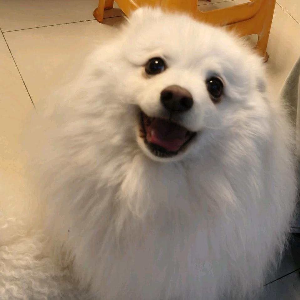 嘴太笨༼ ༎ຶ ෴ ༎ຶ༽