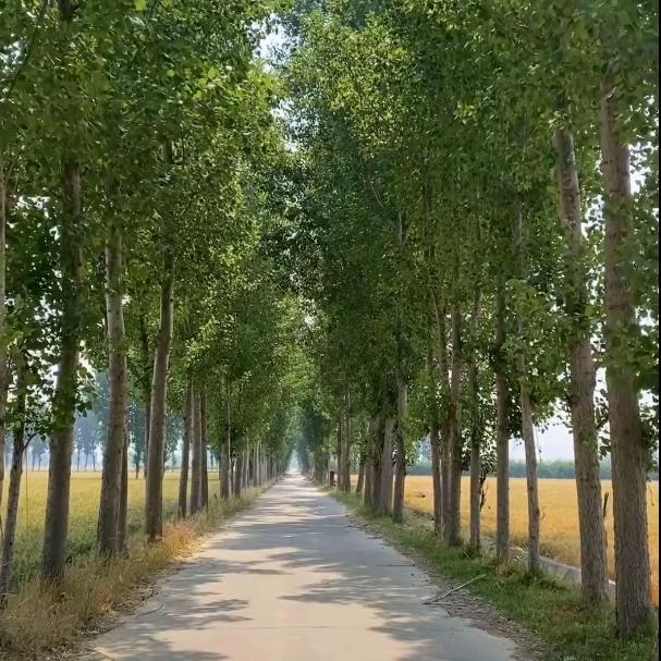 王总高价上门回收