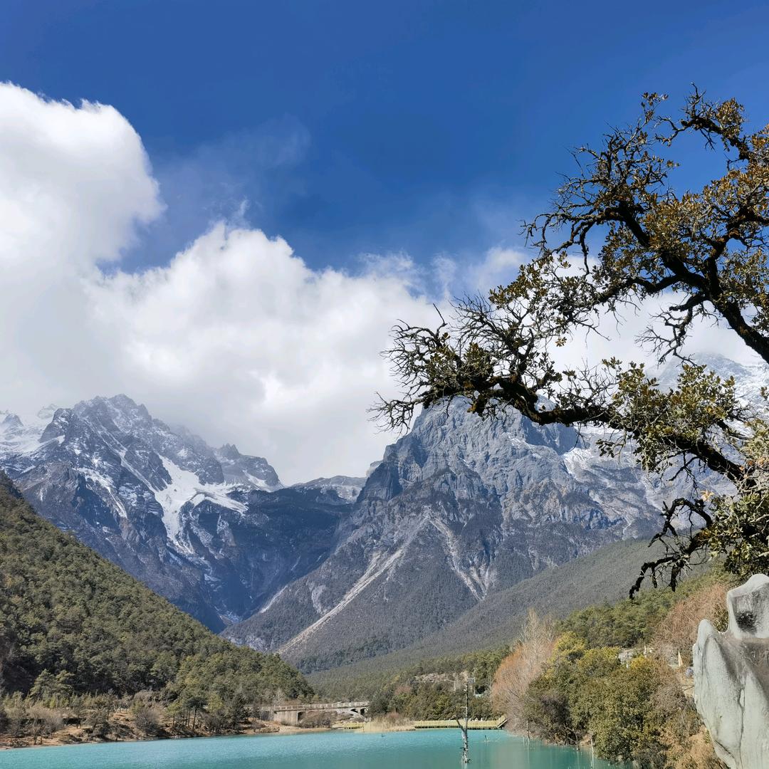 阿达的快乐生活