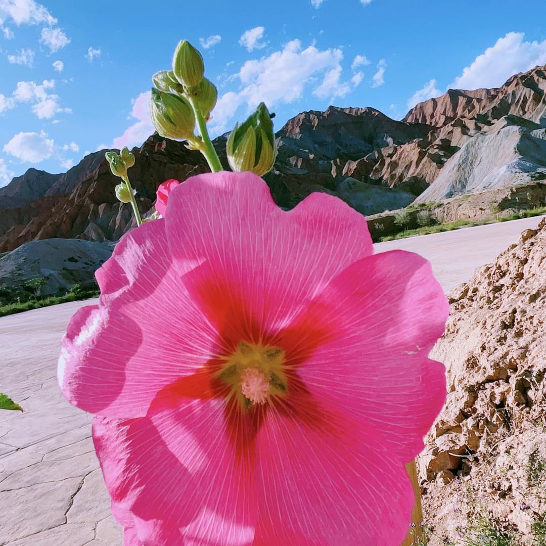 用户开心每一天