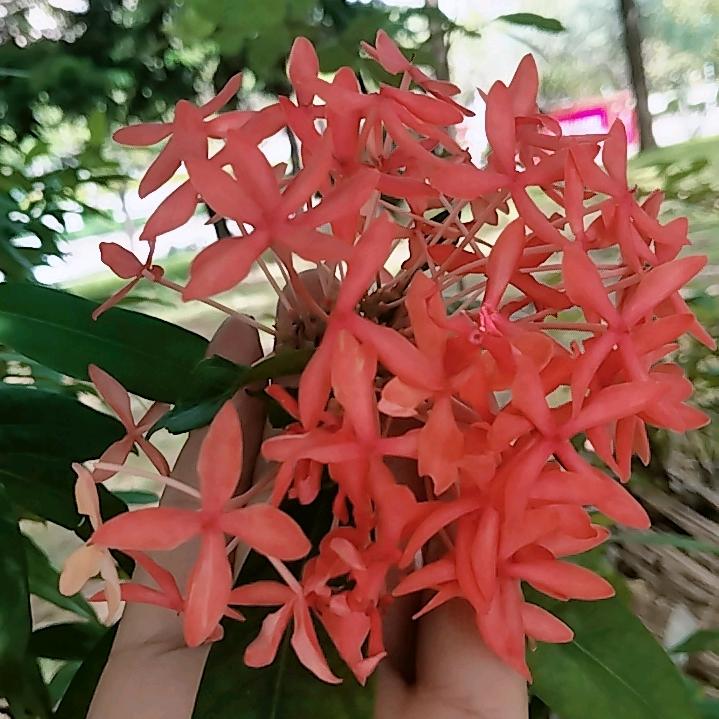 沉默