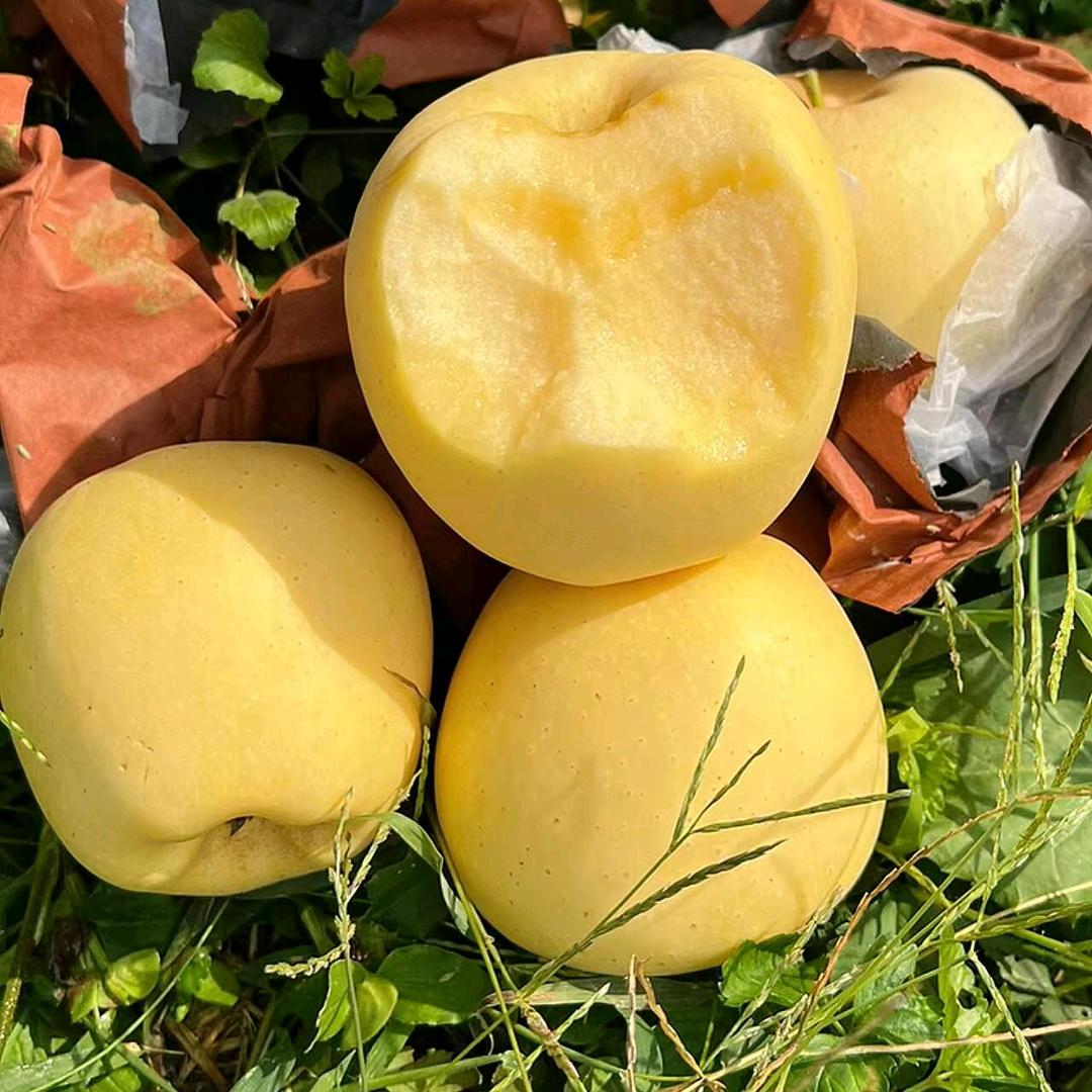 下乡助农（乡村振兴）